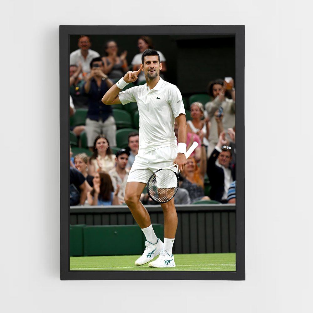 Poster Novak djokovic courts – affiche Tennis (vue 2)